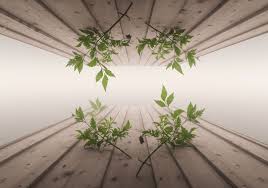 Holistic Approaches to Supporting Youth Mental Health in Schools (55 min.)